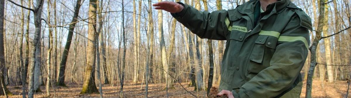 Agent de l'Office national des forêts - Crédit : Arnaud Bouissou / Terra