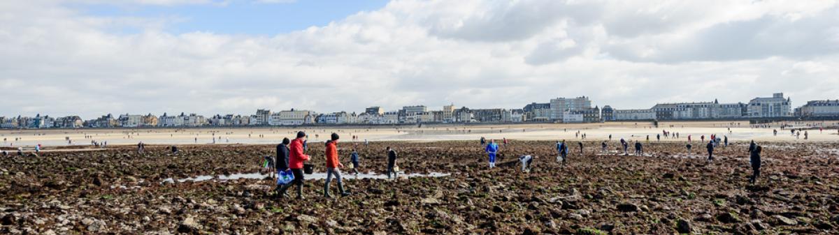 Pêche à pied sur l'estran - Crédit : Arnaud Bouissou / Terra