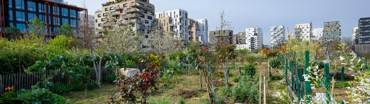 Jardin dans l'écoquartier des Docks de Saint-Ouen - Crédit : Arnaud Bouissou / Terra