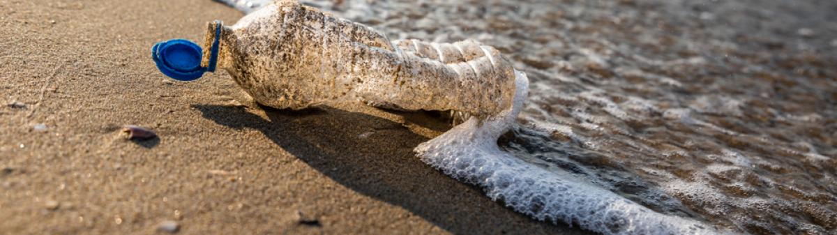 Bouteille plastique sur une plage - crédit : Manuel Bouquet / Terra