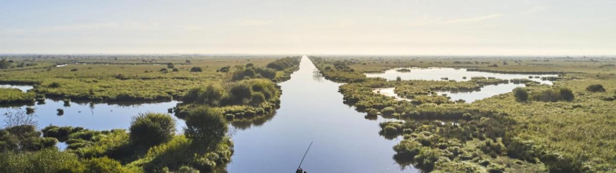 Le parc naturel régional de Brière