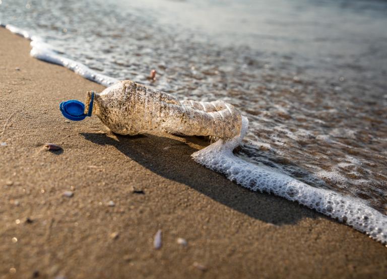 Bouteille plastique sur une plage - crédit : Manuel Bouquet / Terra