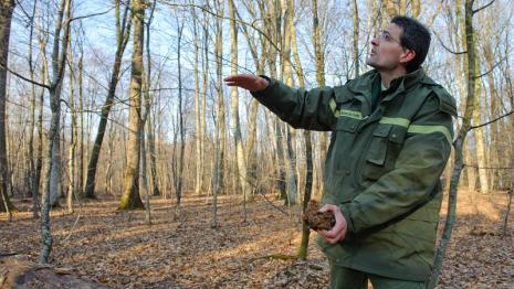 Agent de l'Office national des forêts - Crédit : Arnaud Bouissou / Terra