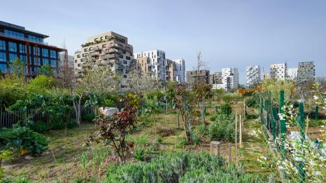 Jardin dans l'écoquartier des Docks de Saint-Ouen - Crédit : Arnaud Bouissou / Terra