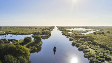 Le parc naturel régional de Brière